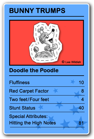 Doodle the Poodle